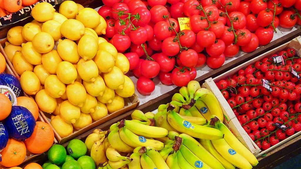 How did the user approach to grocery shopping online change?