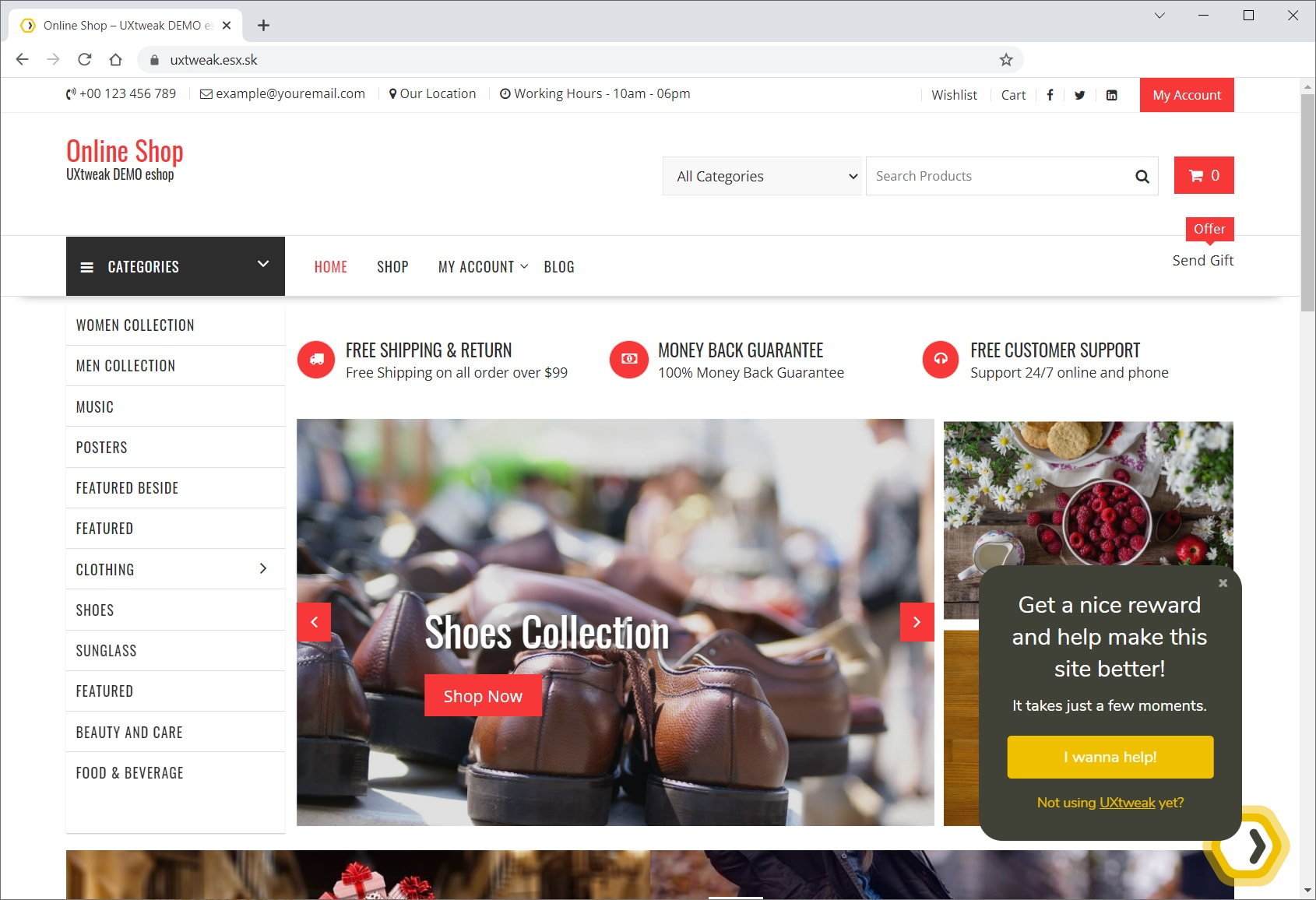 Widget on a website
